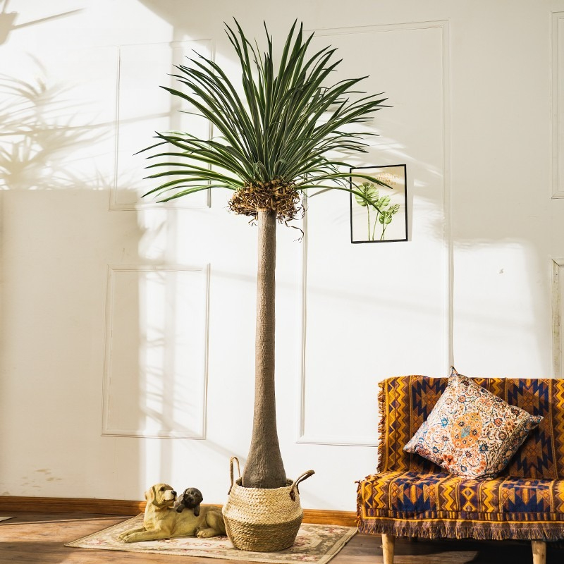 Realistische Dracaena Künstlic – Baby Clothing Store Bewertung und Preis